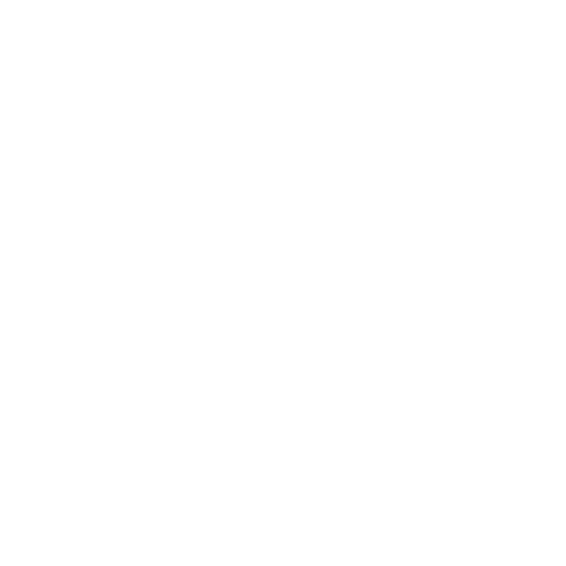 Tiktok Logo