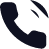 Phone logo